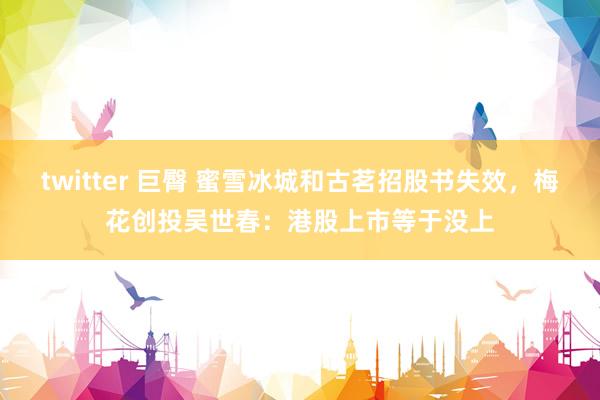 twitter 巨臀 蜜雪冰城和古茗招股书失效，梅花创投吴世春：港股上市等于没上