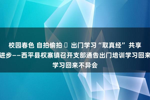 校园春色 自拍偷拍 ​出门学习“取真经” 共享不异促进步——西平县权寨镇召开支部通告出门培训学习回来不异会