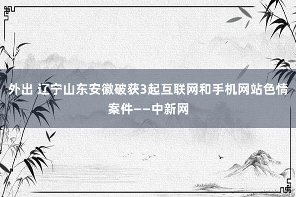 外出 辽宁山东安徽破获3起互联网和手机网站色情案件——中新网