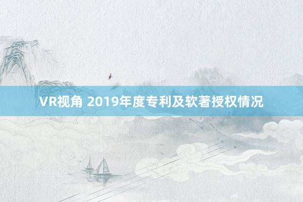 VR视角 2019年度专利及软著授权情况