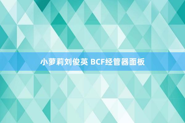 小萝莉刘俊英 BCF经管器面板