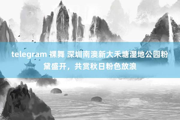 telegram 裸舞 深圳南澳新大禾塘湿地公园粉黛盛开，共赏秋日粉色放浪