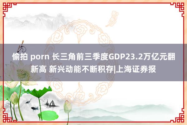 偷拍 porn 长三角前三季度GDP23.2万亿元翻新高 新兴动能不断积存|上海证券报