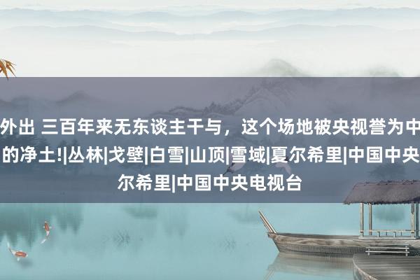 外出 三百年来无东谈主干与，这个场地被央视誉为中国临了的净土!|丛林|戈壁|白雪|山顶|雪域|夏尔希里|中国中央电视台