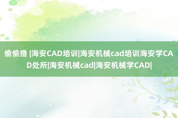 偷偷撸 |海安CAD培训|海安机械cad培训海安学CAD处所|海安机械cad|海安机械学CAD|