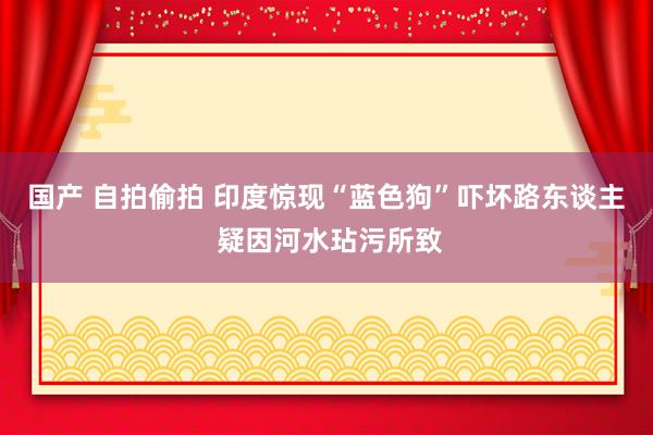 国产 自拍偷拍 印度惊现“蓝色狗”吓坏路东谈主 疑因河水玷污所致