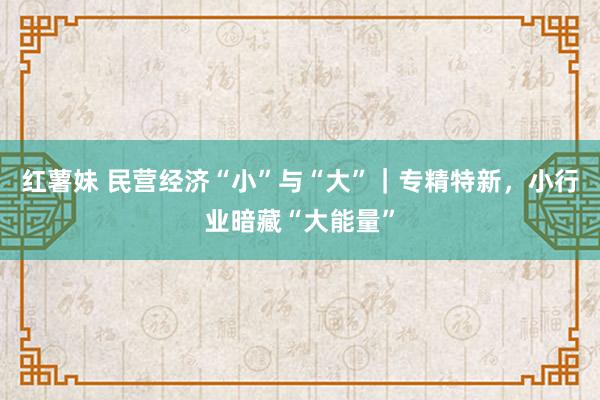 红薯妹 民营经济“小”与“大”｜专精特新，小行业暗藏“大能量”