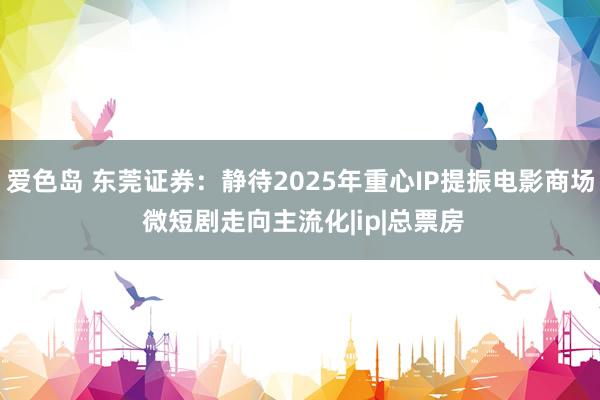 爱色岛 东莞证券：静待2025年重心IP提振电影商场 微短剧走向主流化|ip|总票房