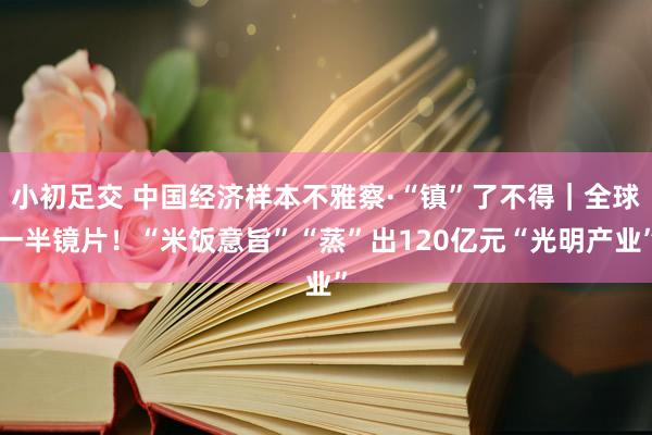 小初足交 中国经济样本不雅察·“镇”了不得｜全球一半镜片！“米饭意旨”“蒸”出120亿元“光明产业”